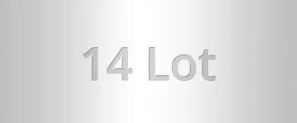 14 Lot argent