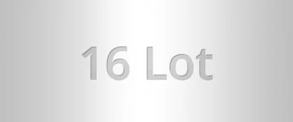 16 Lot argent